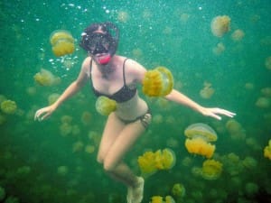 Things to do before you die: Swim in Jellyfish Lake in Palau