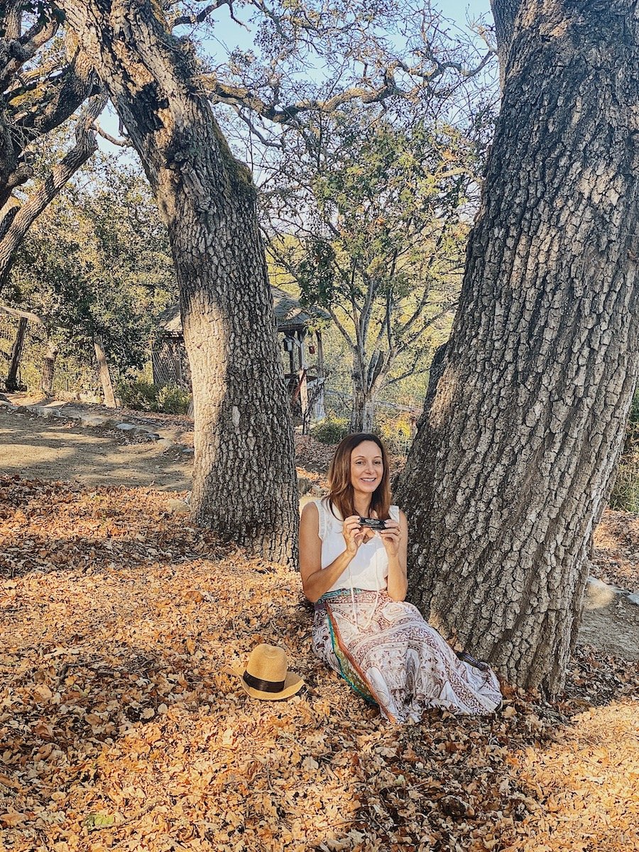 10 Easy Harmonica Songs (and How to Play