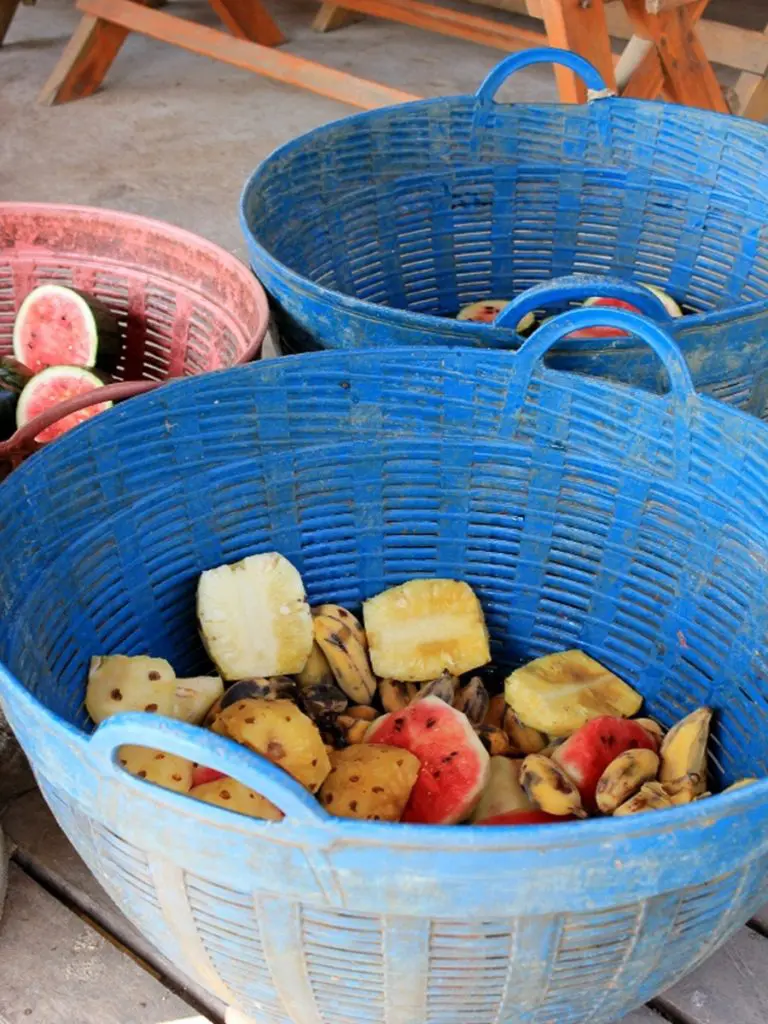 Elephant Basket Pineapple