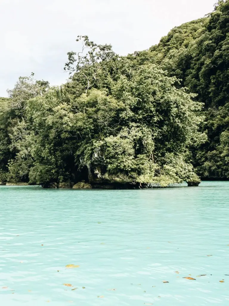 Milky Way Palau