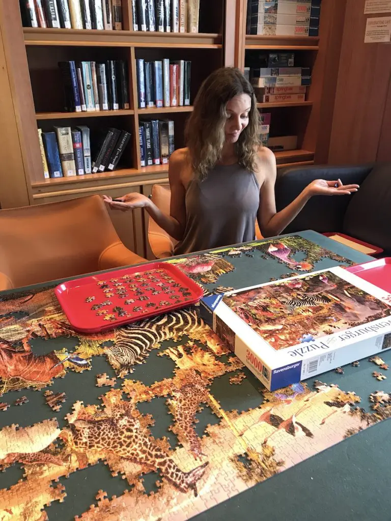 Best 1000 Piece Jigsaw Puzzles for Adults (& Tips on How to Complete One)