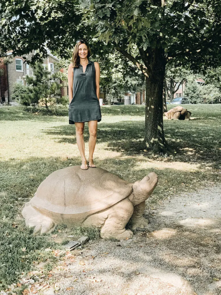 Turtle Playground | St. Louis Bucket List: 15 Fun Things to Do in Missouri's STL