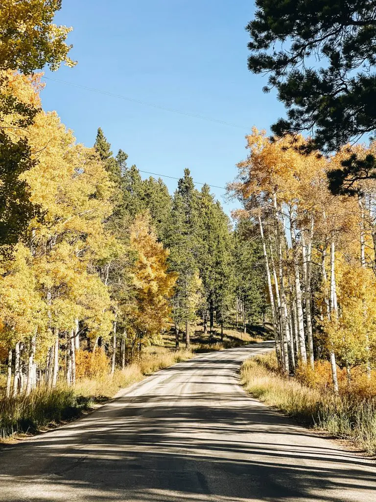 Casper Mountain