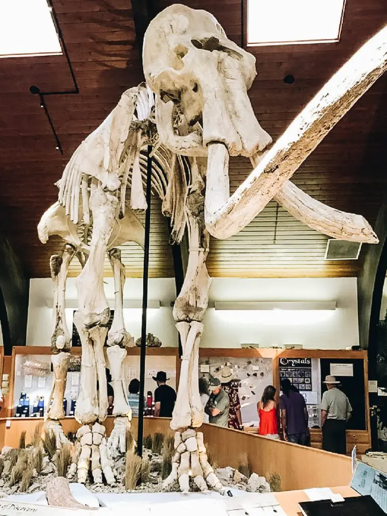 Tate Geological Museum