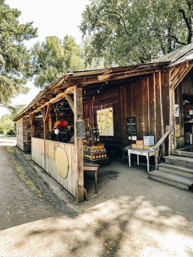 Philo Apple Farm