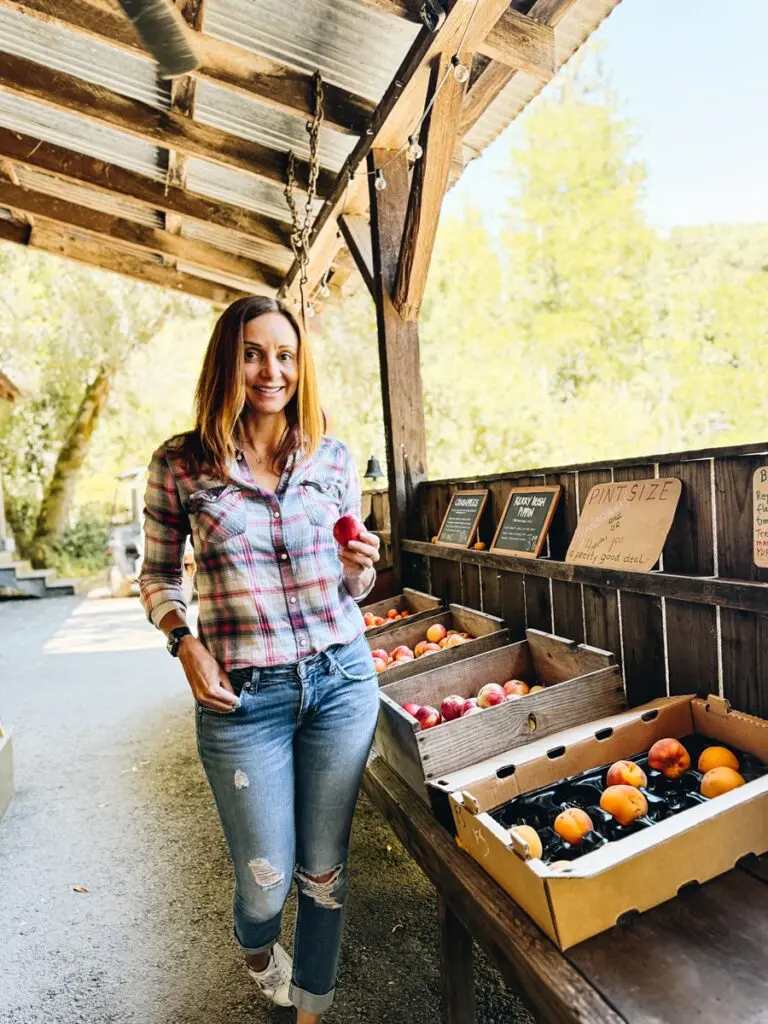 Philo Apple Stand Annette