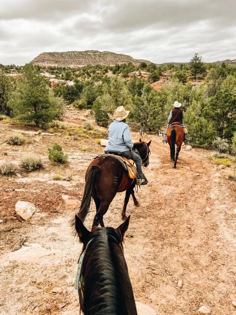 Annette with a horse on Canyon Trails Ranch