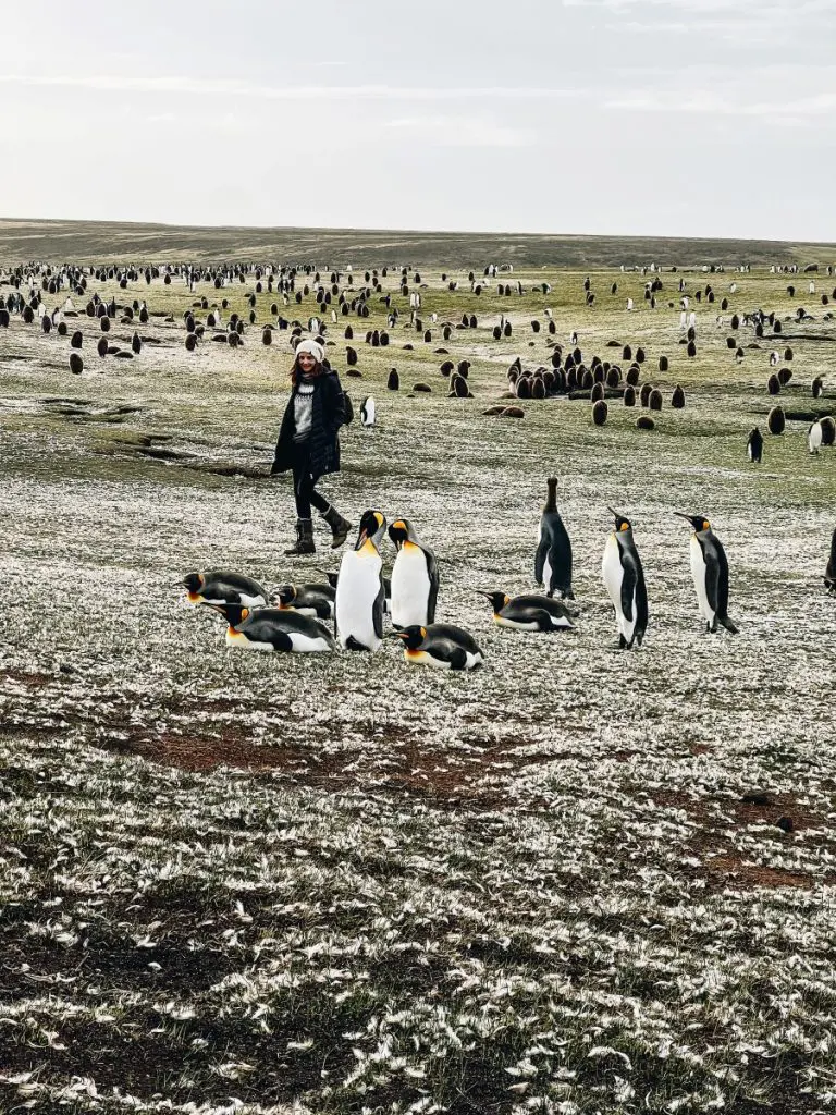 Annette with penguins