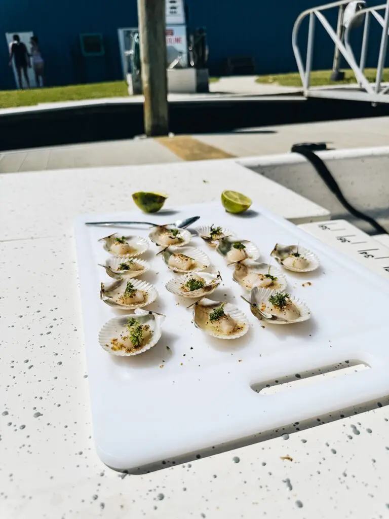 Scallop Ceviche