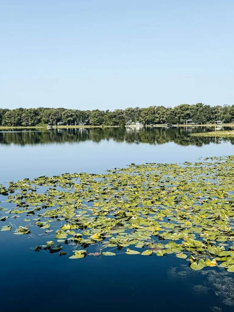 Withlacoochee State Trail