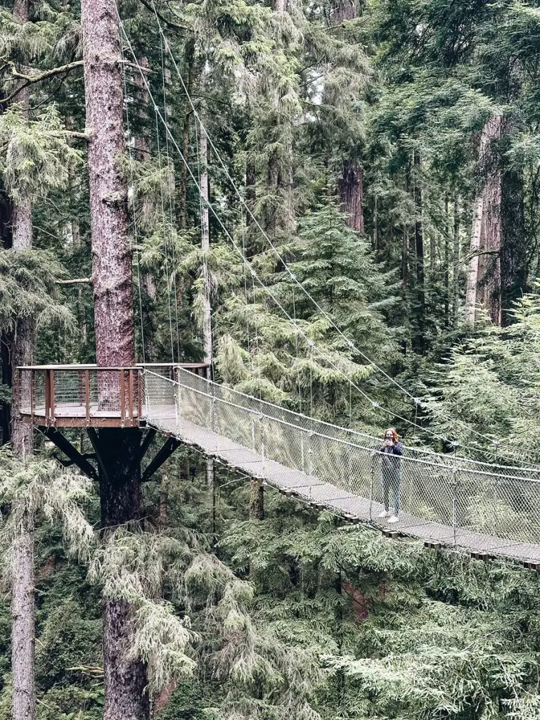 Redwood Sky Walk Bridge Eureka