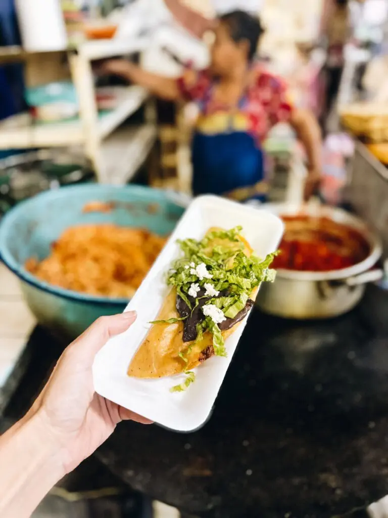 Traditional Oaxacan Foods