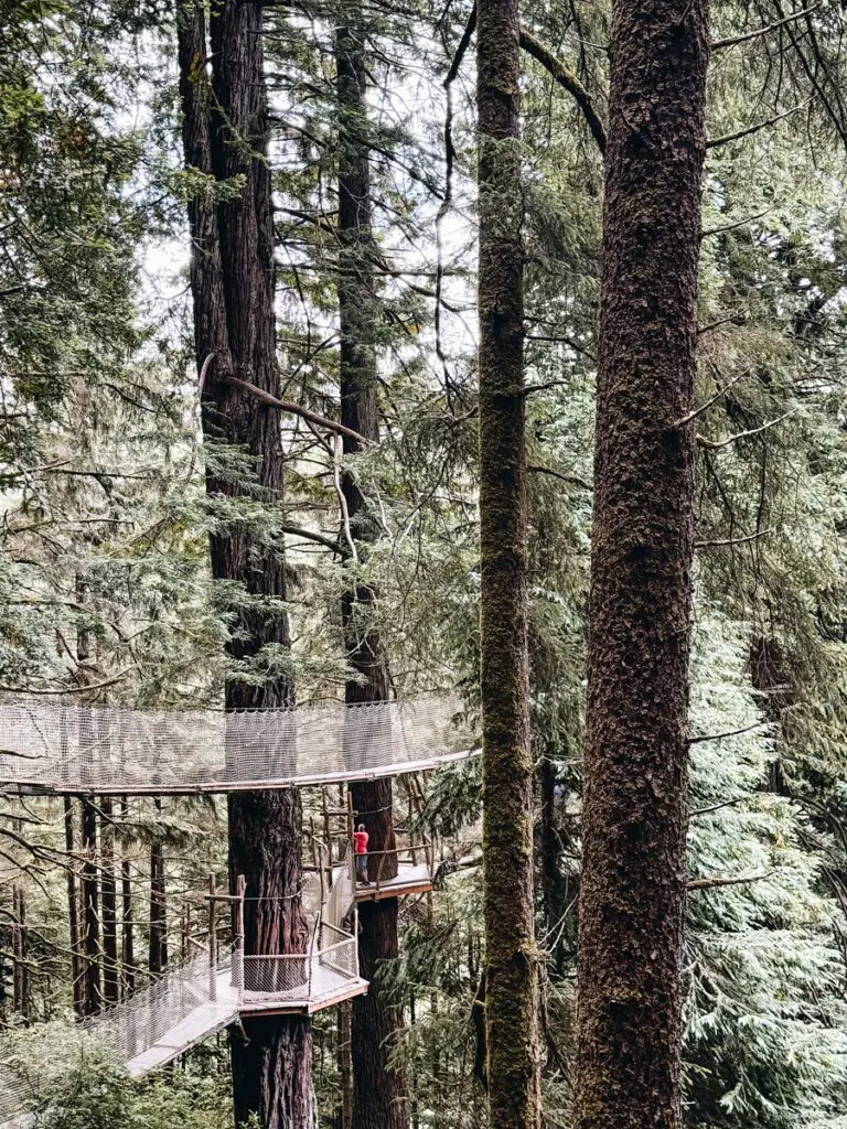 Trees of Mystery Klamath