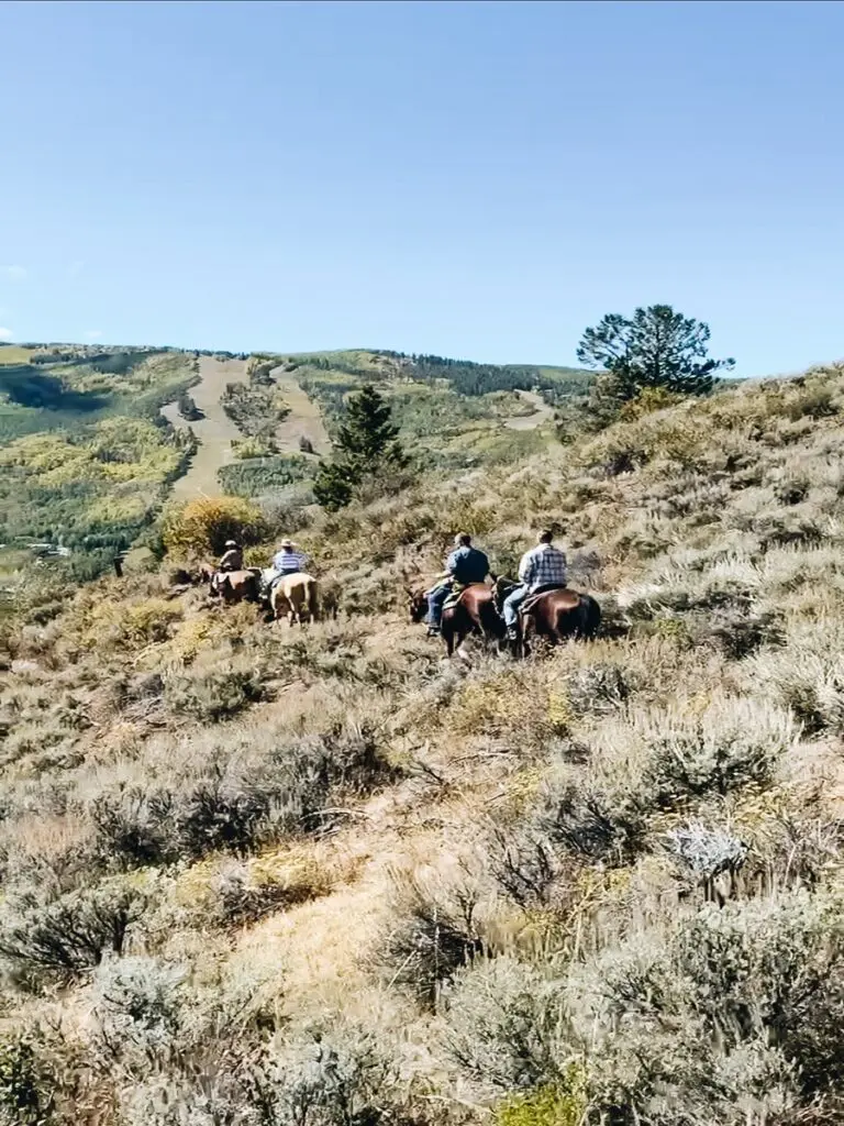 Beaver Creek Stables Colorado