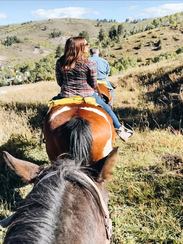 Beaver Creek Stables Horseback