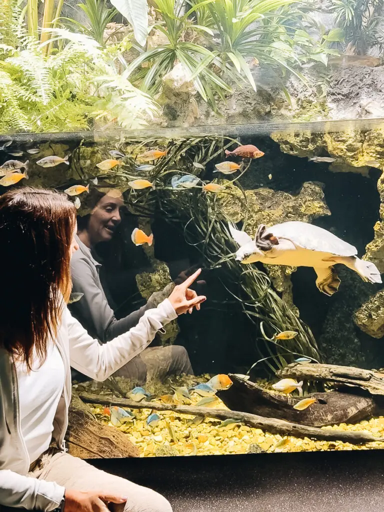 Tennessee Aquarium Annette
