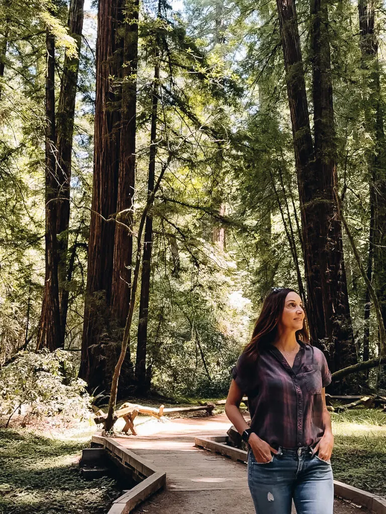 Armstrong Woods Guerneville