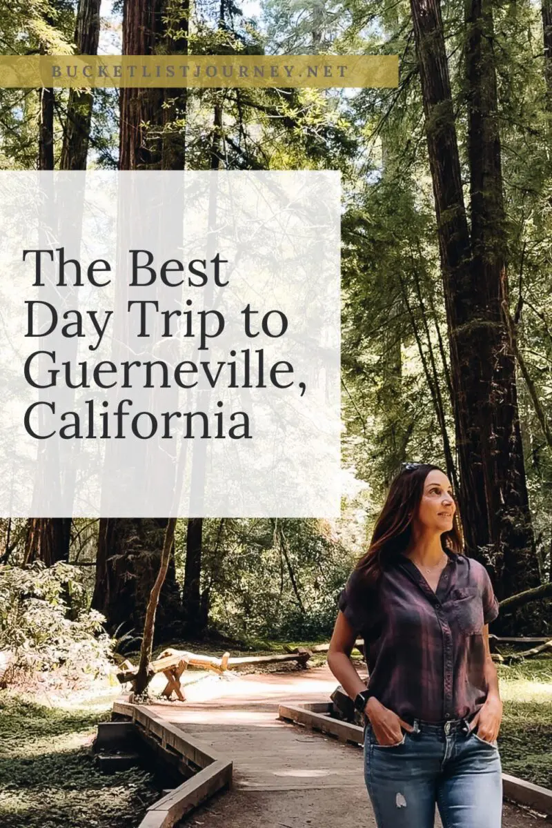 The Best Day Trip to Guerneville, California
