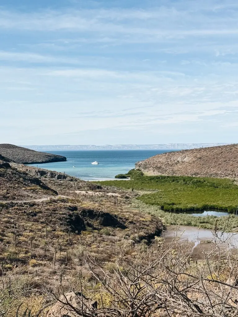 Balandra Beach Hike View