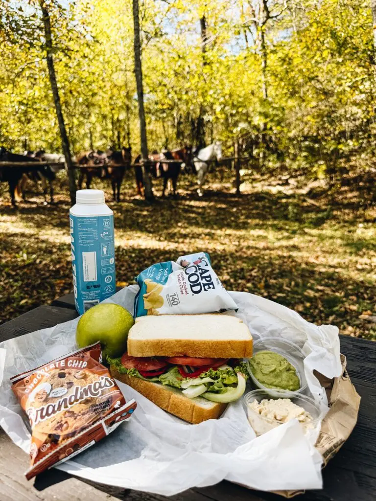 Little Indian Horseback Lunch