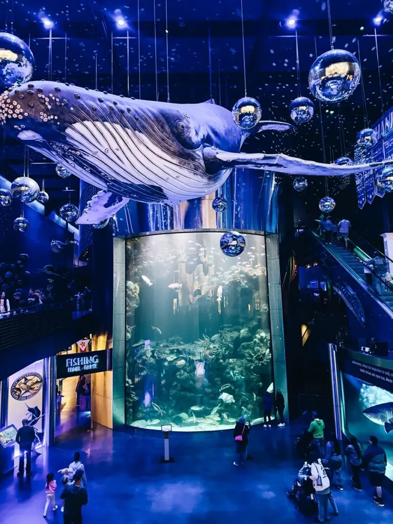 Wonders Of Wildlife Aquarium