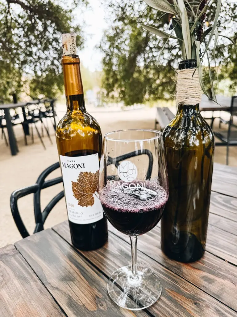 Bodegas Magoni Winery