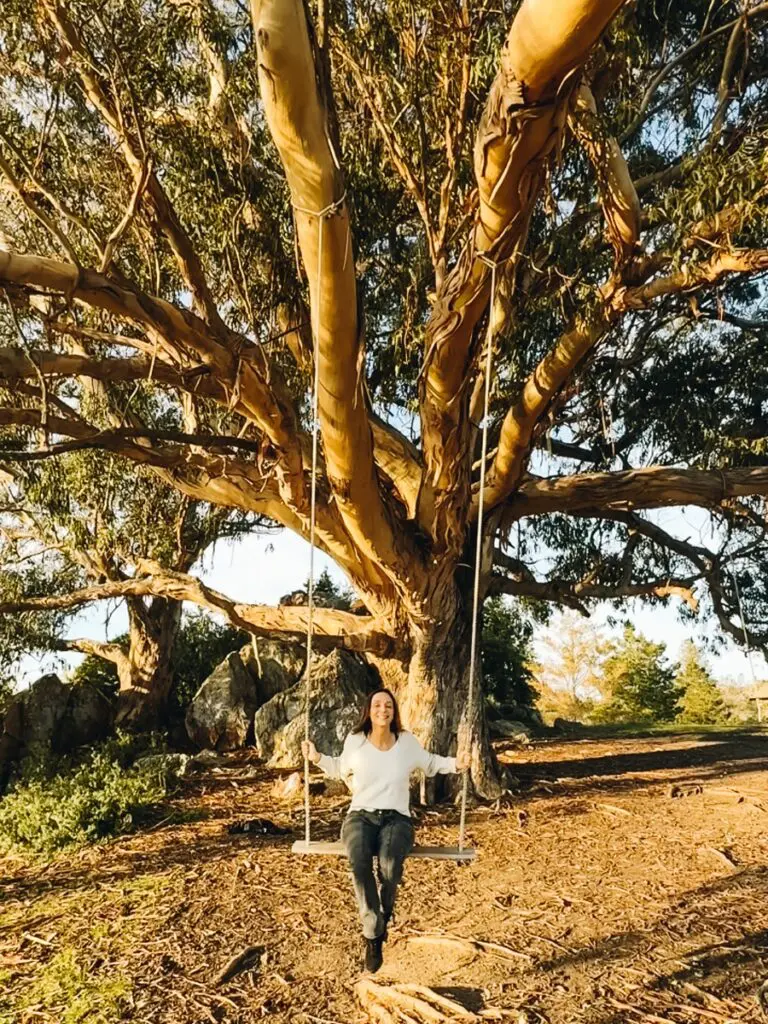 Hippie Tree Tiburon California Annette