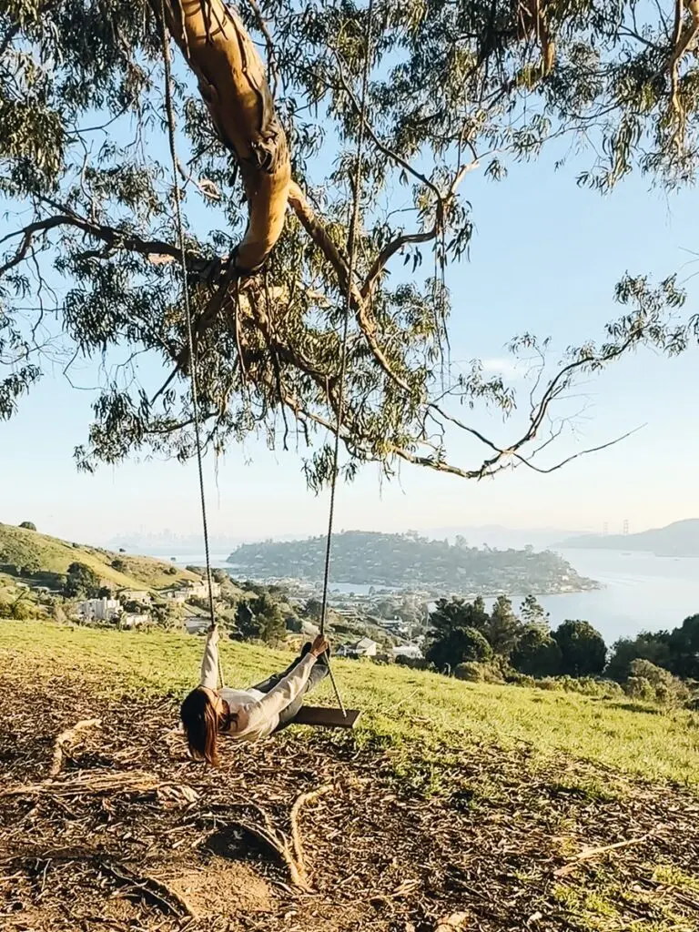 Hippie Tree Tiburon California Annette