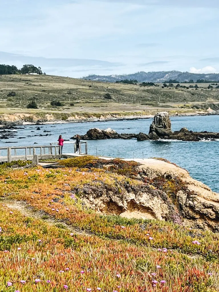 Pescadero California