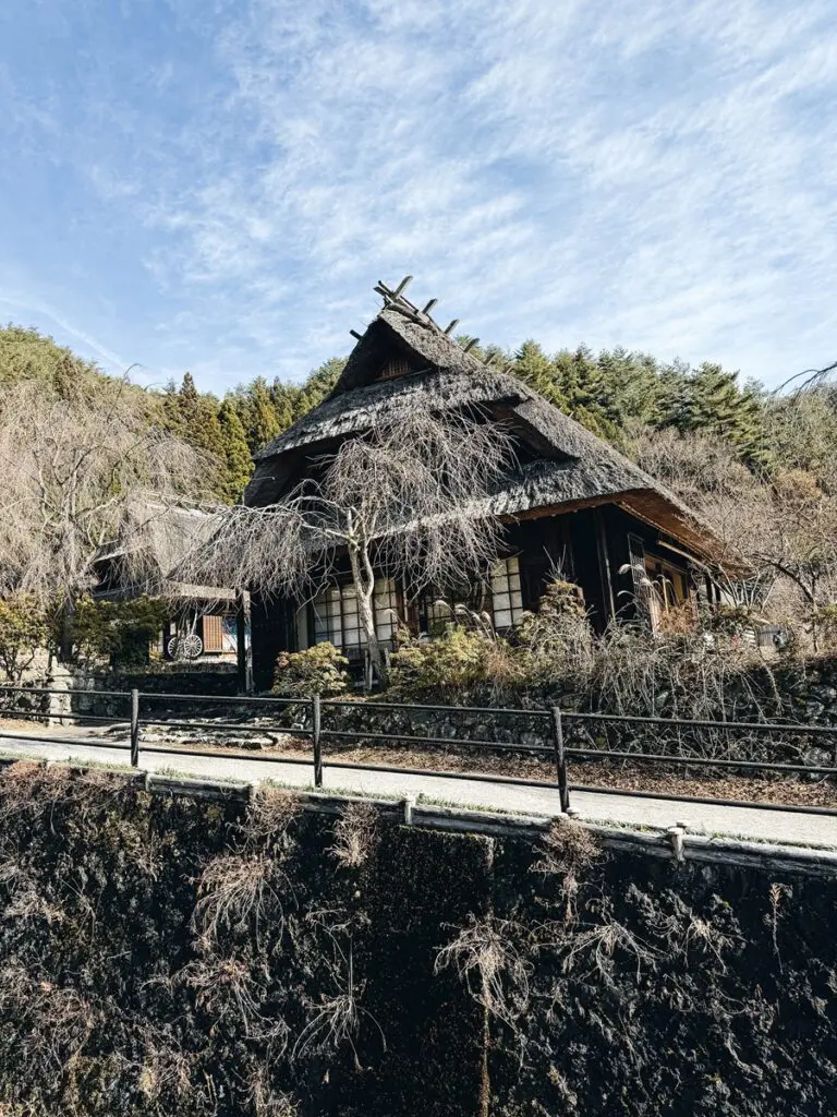 Saiko Iyashinosato Nenba 