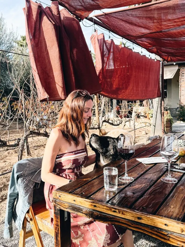 Vinos Lechuza Annette