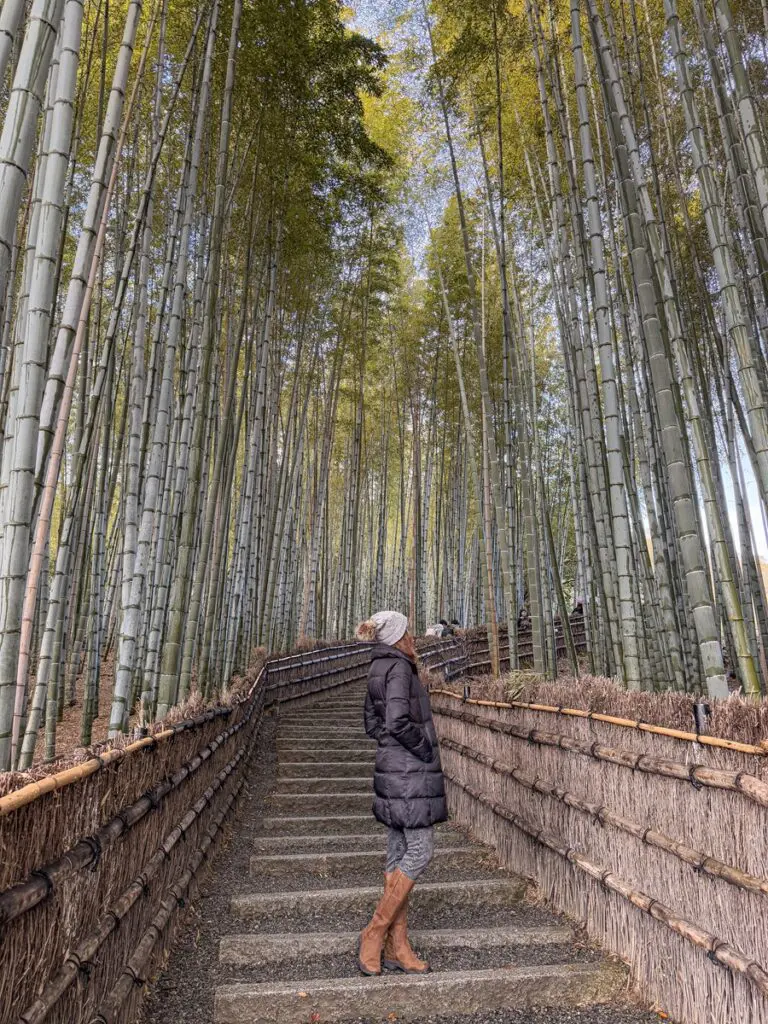 Adashino Nenbutsuji Temple Bamboo