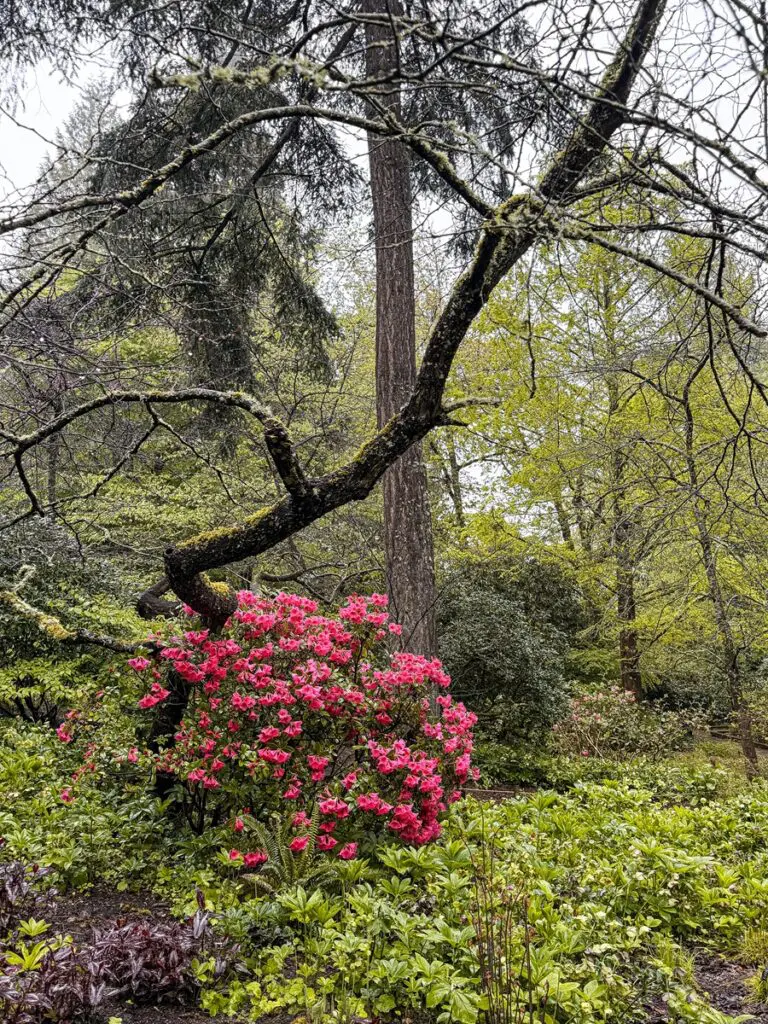 Bellevue Botanical Garden Washington