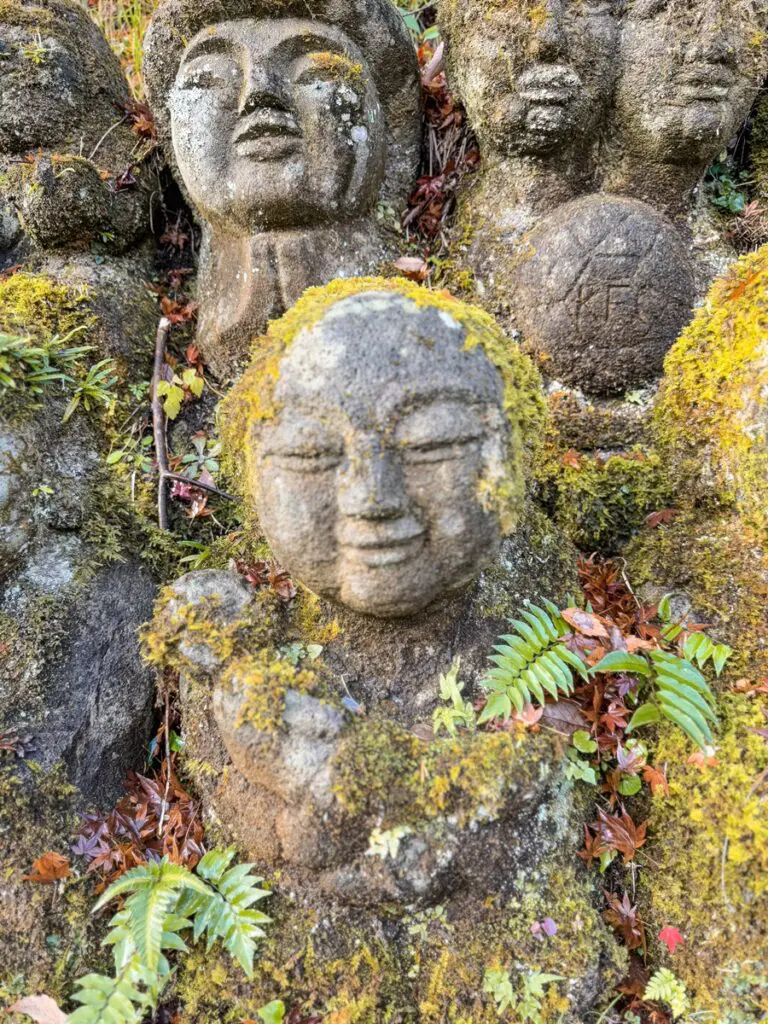 Otagi Nenbutsuji Temple Kyoto