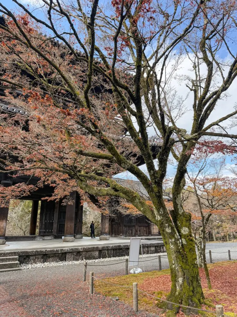 Tenjuan Temple Kyoto