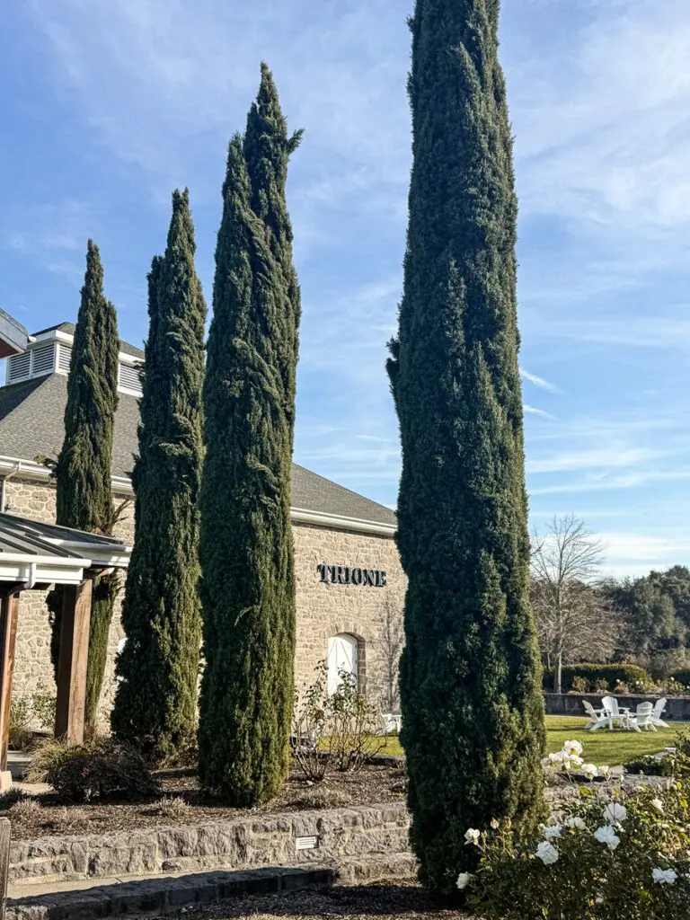 Trione Winery