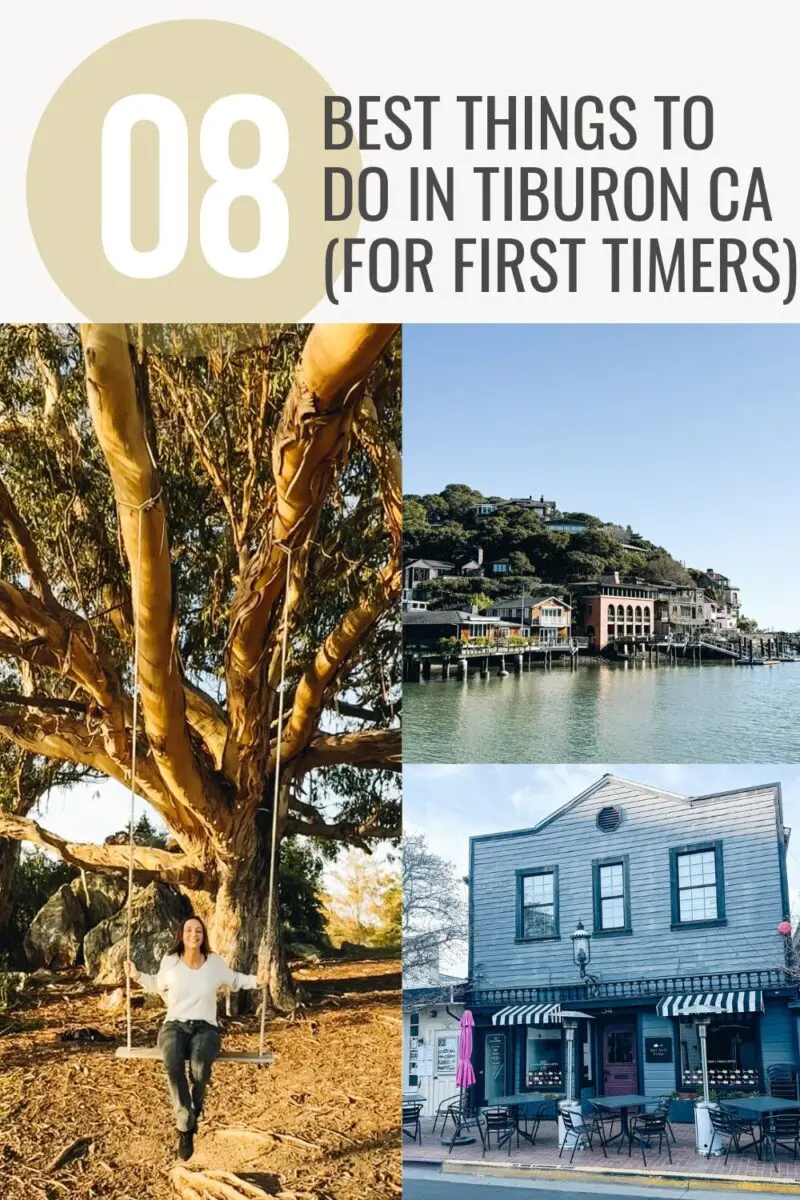 8 Best Things to do in Tiburon CA (for first timers)