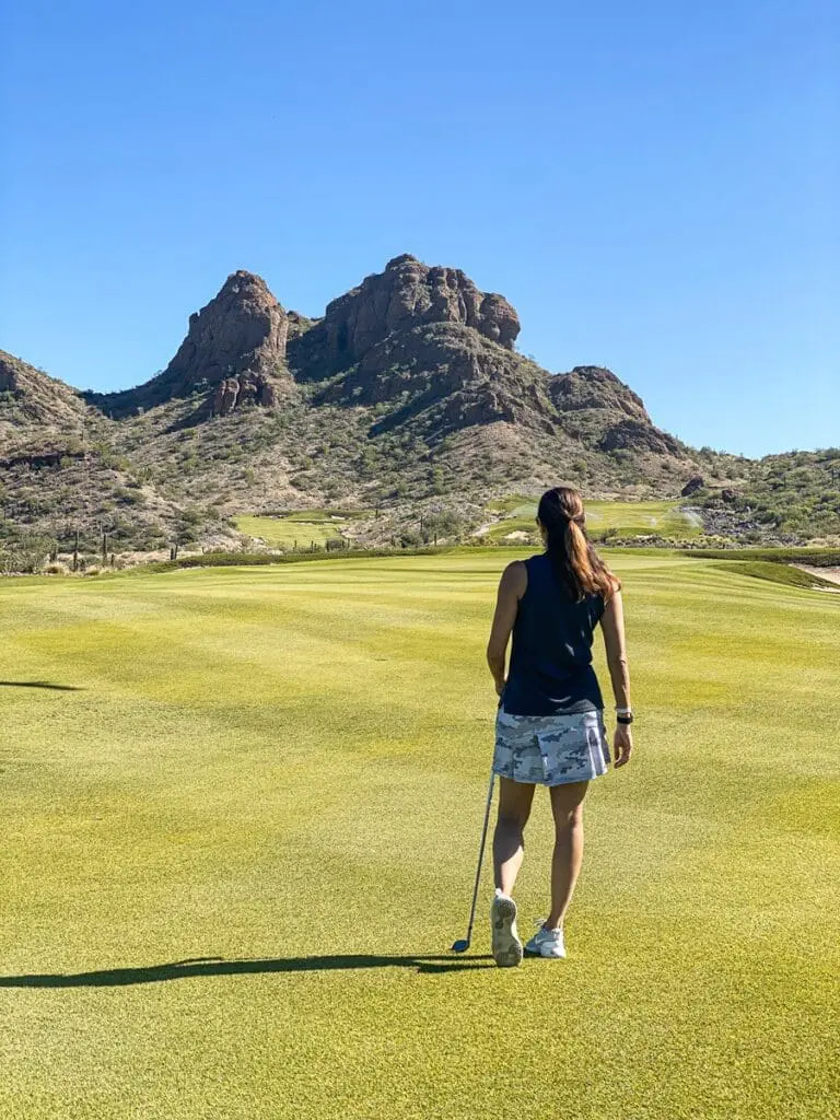 TPC Danzante Bay
