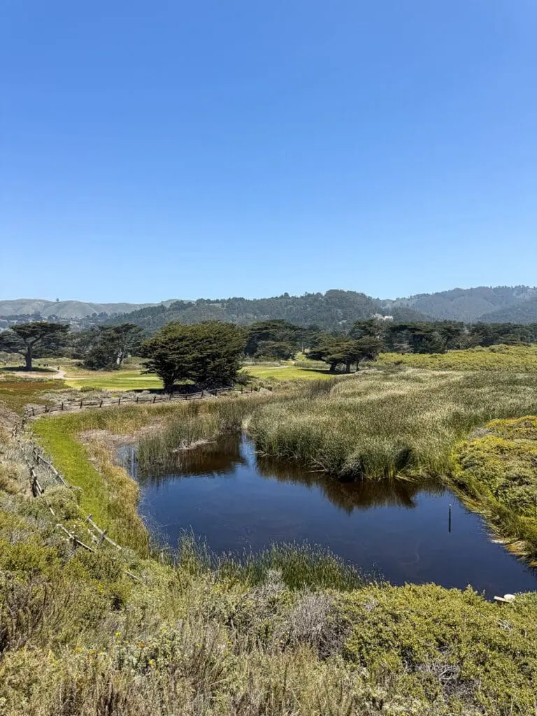 Mori Point Hike