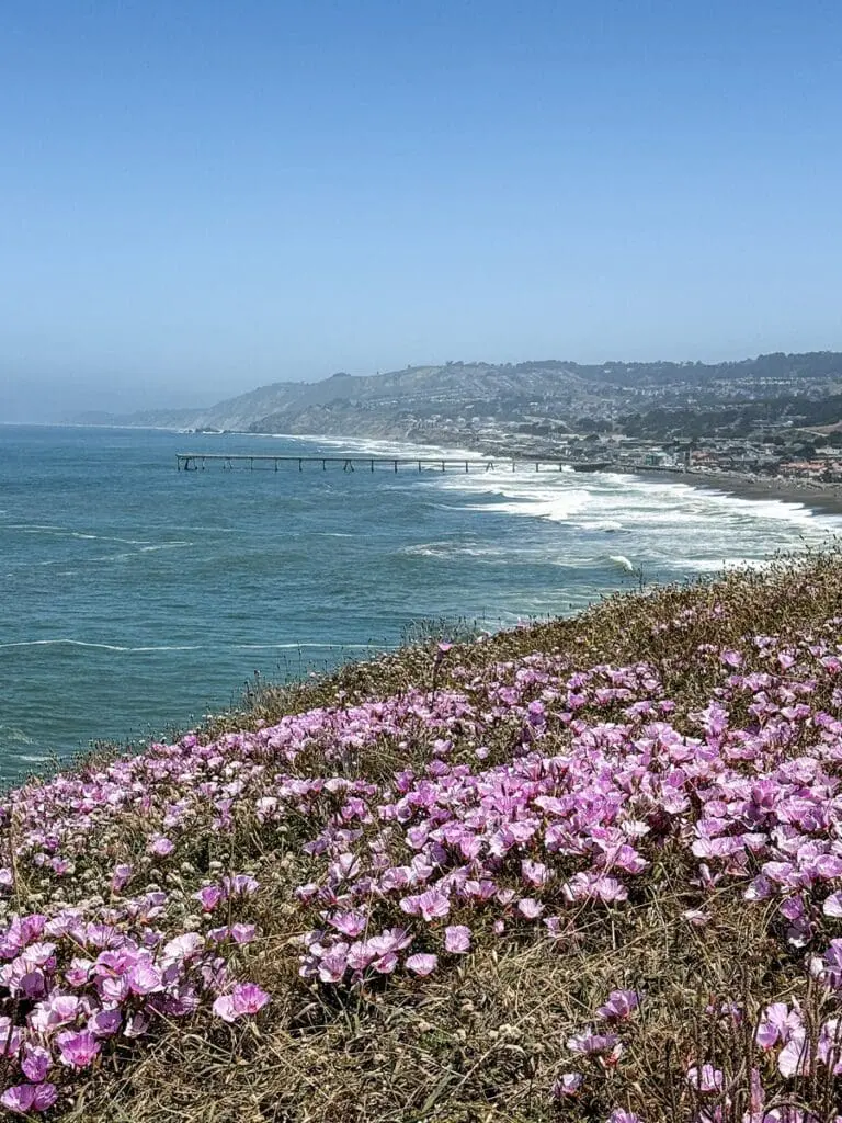 Mori Point