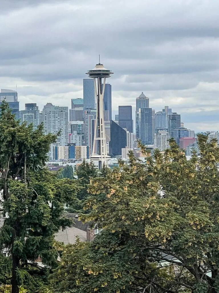 Space Needle View