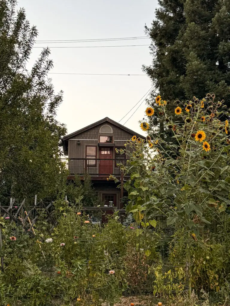 주택