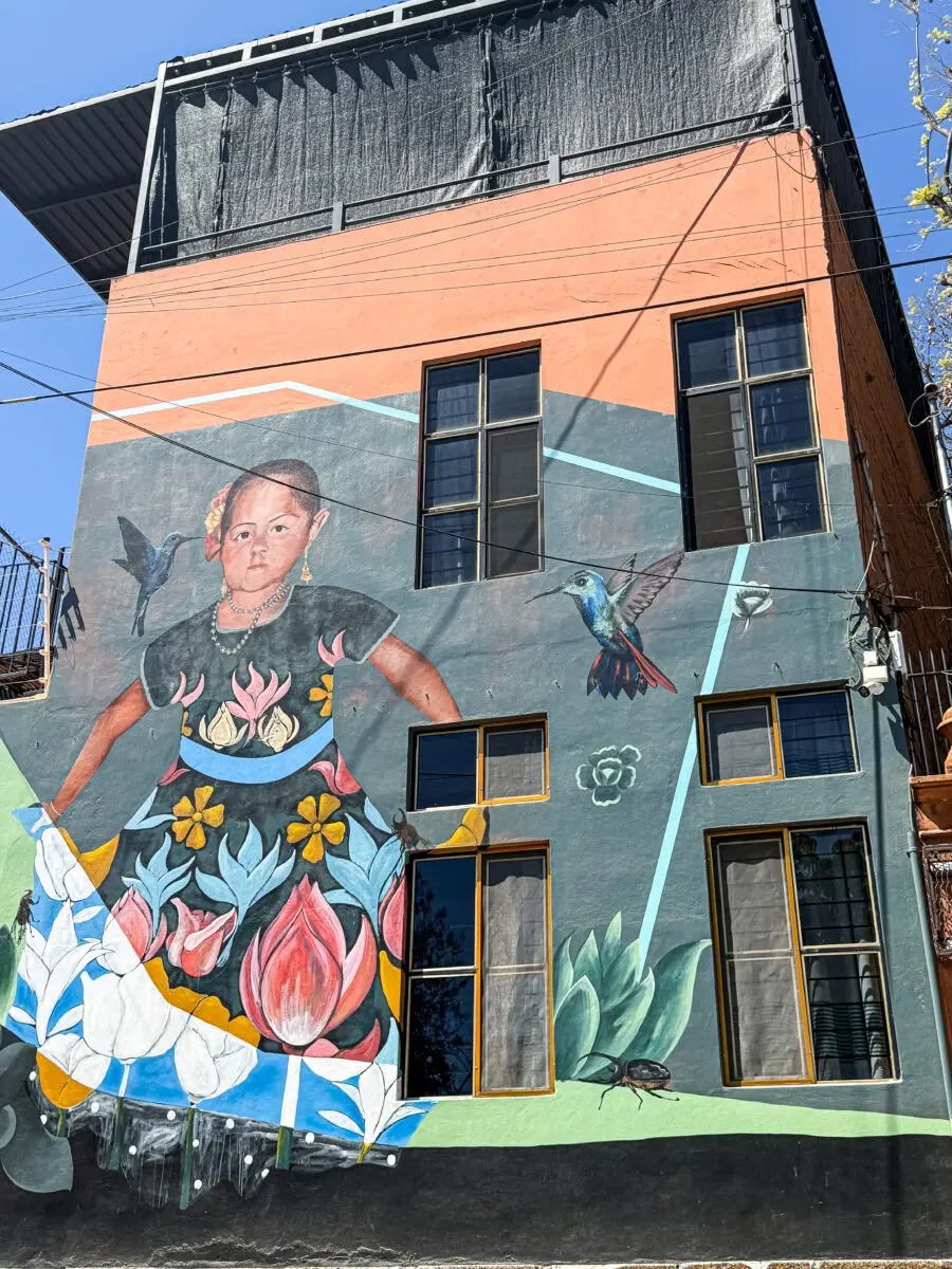 Barrio de Xochimilco