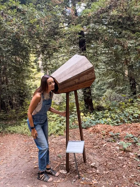 Gualala Arts Center Sculpture