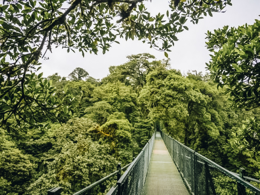 Selvatura Park, Guanacaste