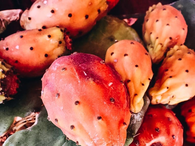 Eating Traditional Mexican Green Tuna Fruit