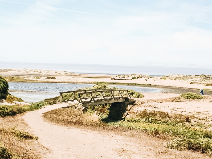 Abbotts Lagoon