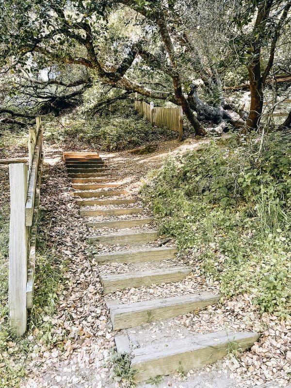 Point Reyes Earthquake 25 Things to Do in Point Reyes National Seashore
