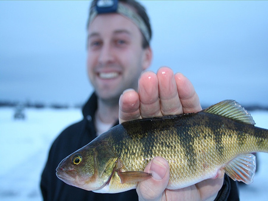 Ice Fishing in the Winter
