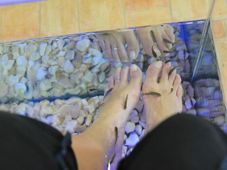 Fish Pedicure in Sitges, Spain